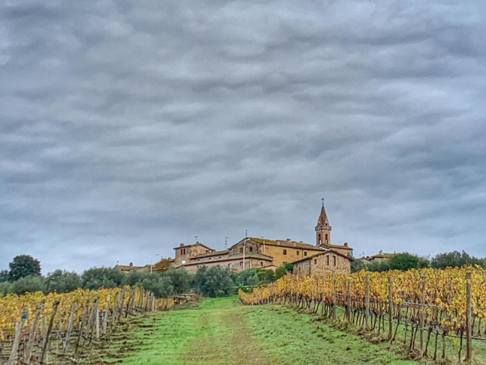 House With A View In Tuscany San Gusme Eksteriør bilde