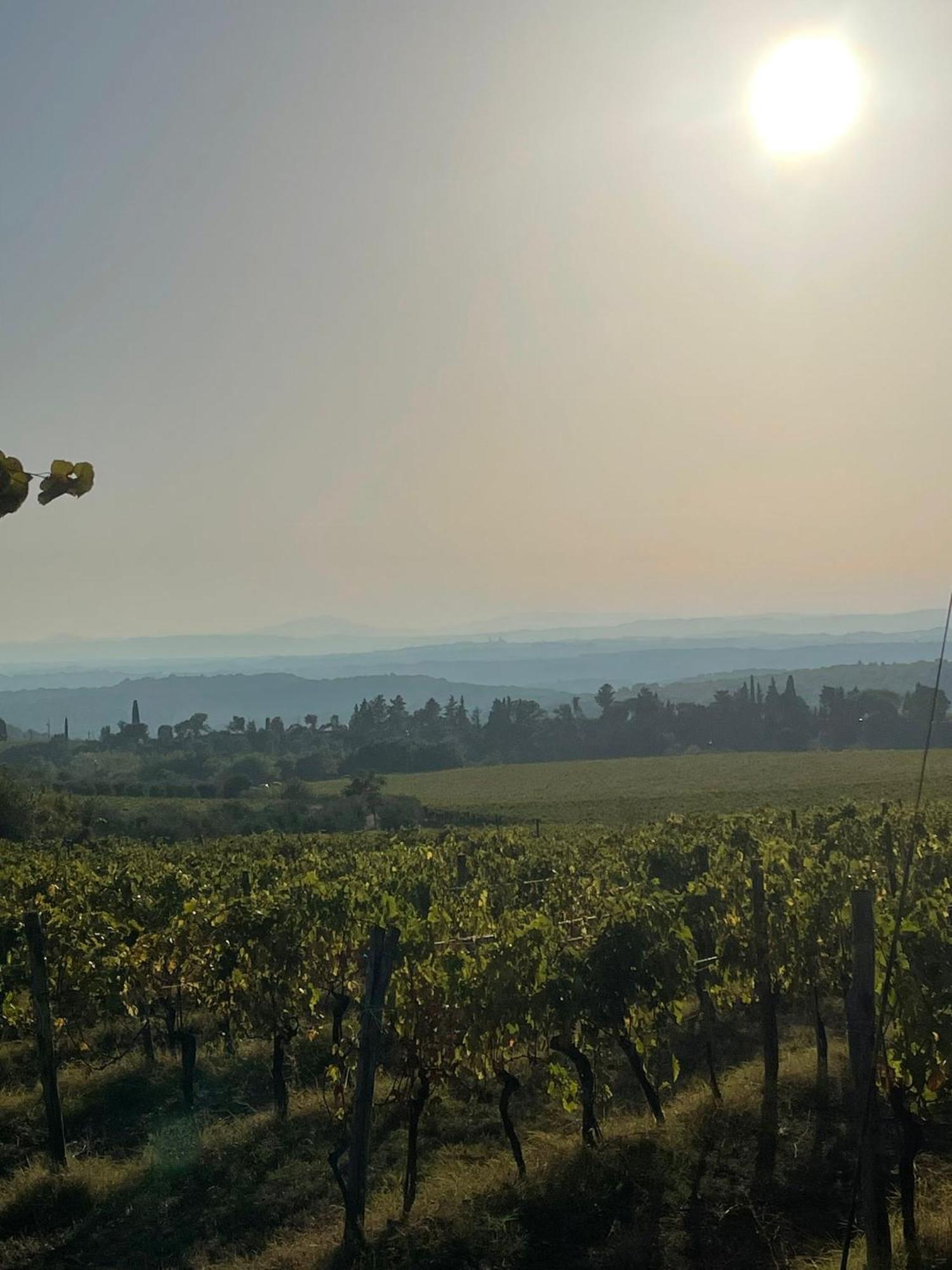 House With A View In Tuscany San Gusme Eksteriør bilde