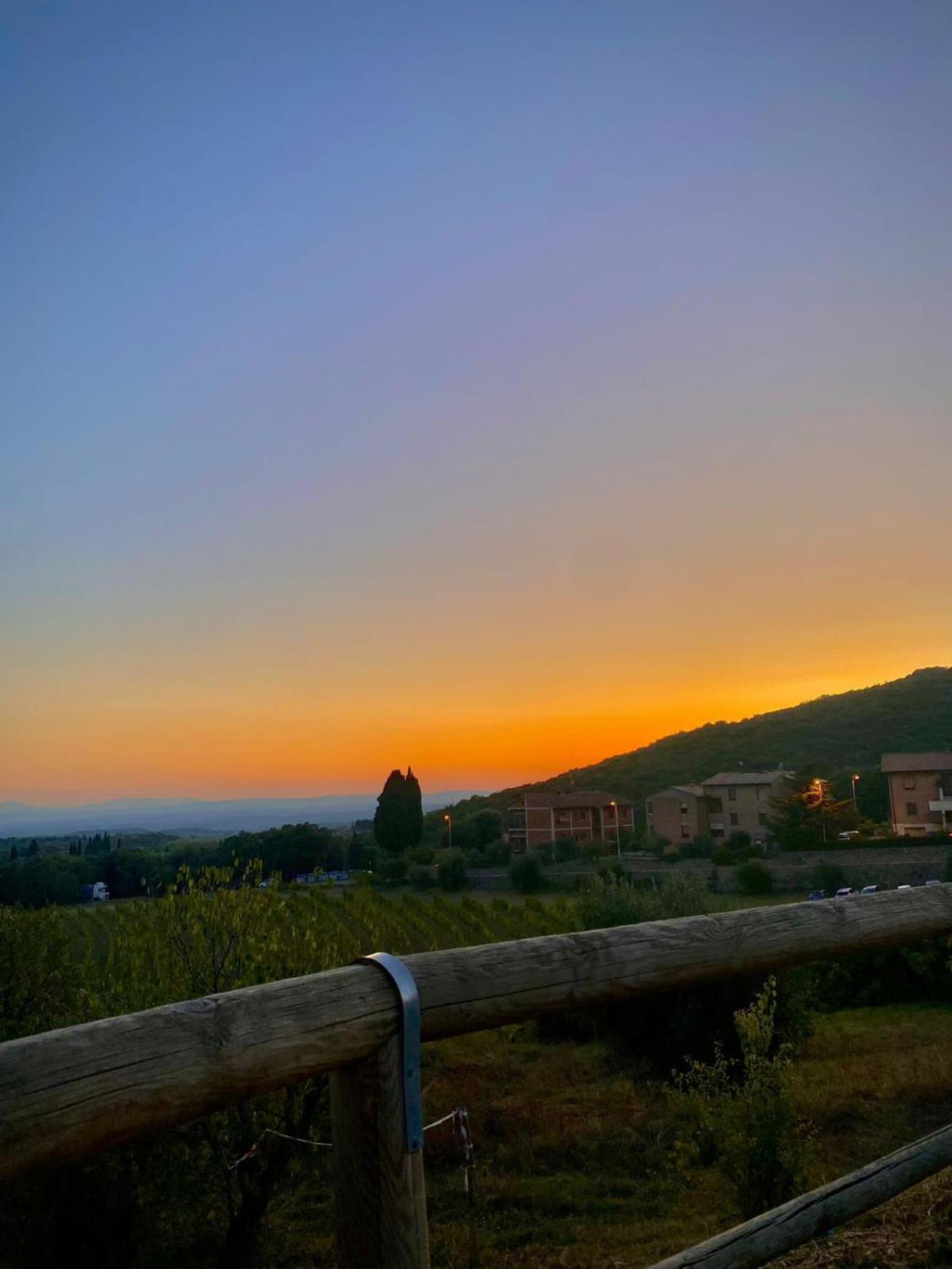 House With A View In Tuscany San Gusme Eksteriør bilde