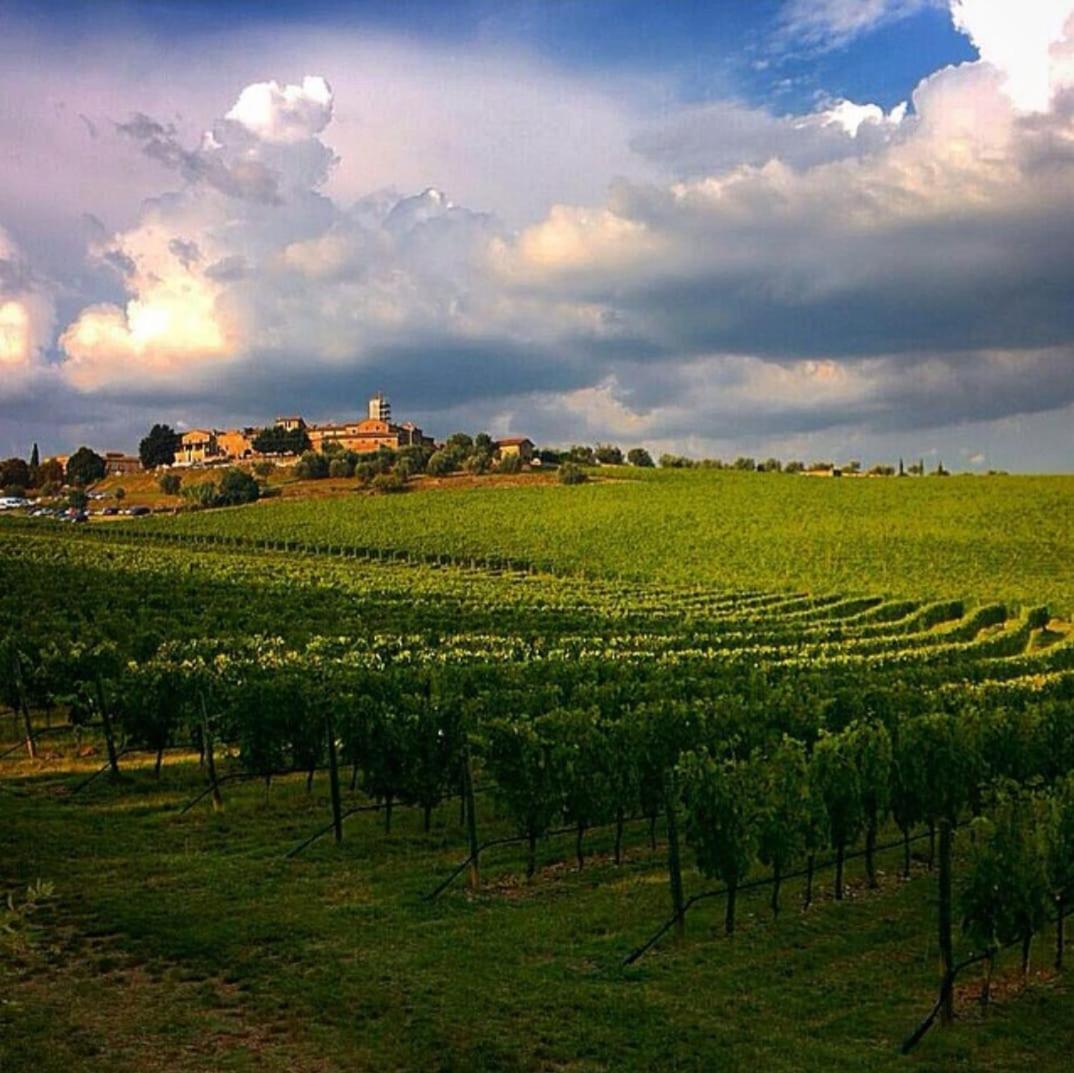 House With A View In Tuscany San Gusme Eksteriør bilde